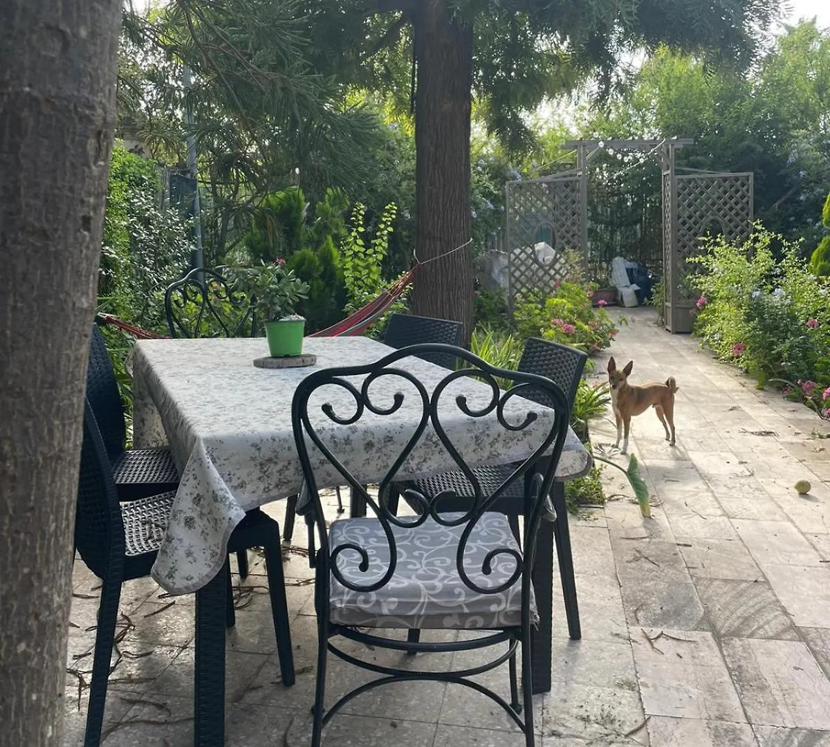 Secret Garden Villa Giovinazzo 0*,  Italy
