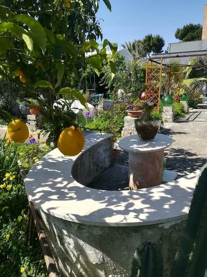 Secret Garden Villa Giovinazzo Holiday home