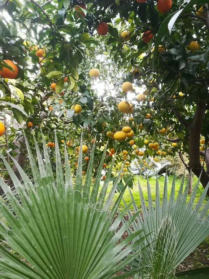 Secret Garden Villa Giovinazzo 0*,  Italy