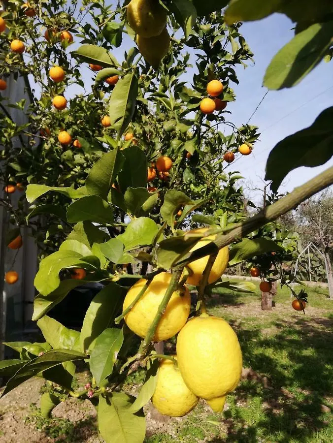 Holiday home Secret Garden Villa Giovinazzo