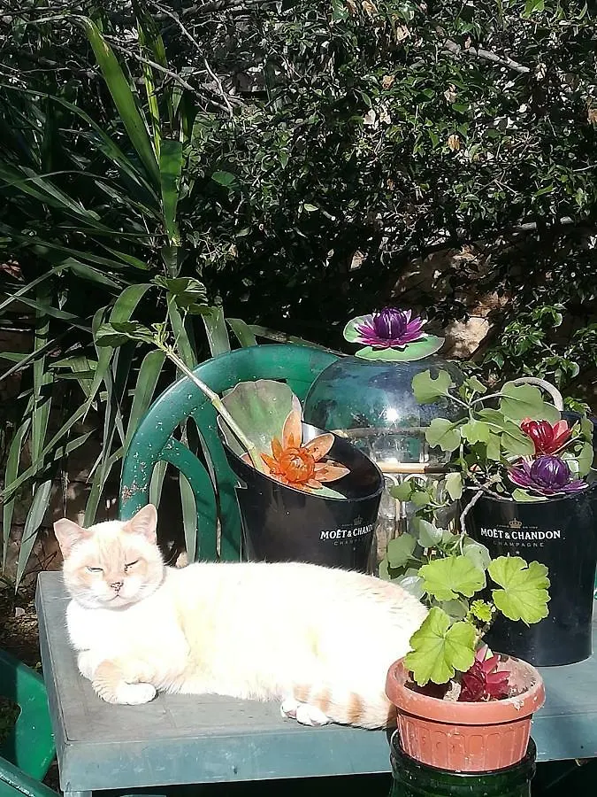 Secret Garden Villa Giovinazzo 0*,