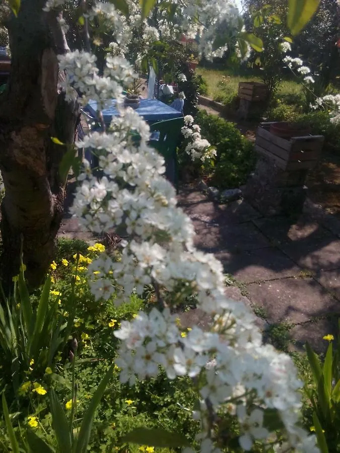 Secret Garden Villa Giovinazzo Italy