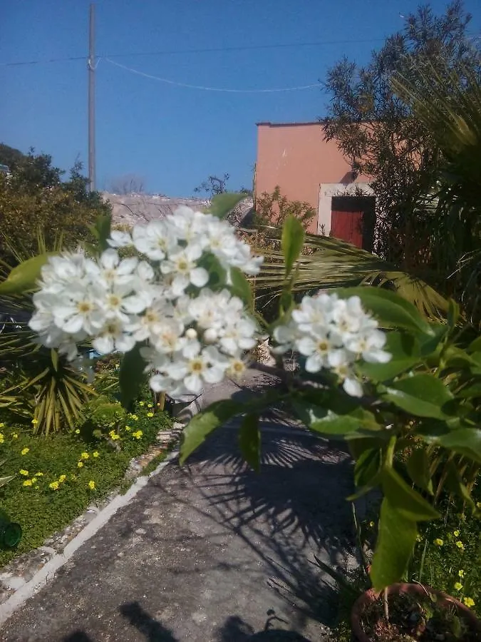 Secret Garden Villa Giovinazzo 0*,  Italy